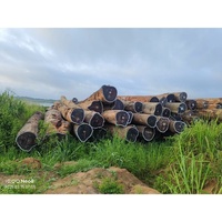 Vente en gros en usine de grumes de bois de ferme TALI panneau africain de haute qualité du Congo