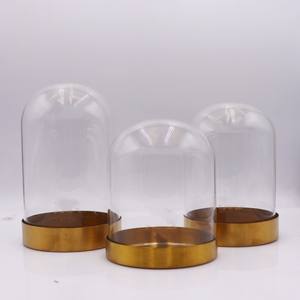 Fornitura di diverse dimensioni chiaro semplice fiore di rosa conservato in vetro a cupola di vetro con cupola in legno nero base in oro - Product Image 2