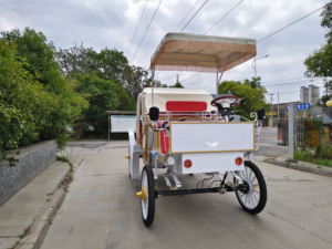 Produits en promotion : Chariot de chevaux électrique d'extérieur HengYiSheng pour 6 personnes avec toit, idéal pour mariages romantiques - Henan - Product Image 2