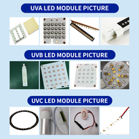 Algainp 1A UV Bande LED Conception de circuits d'éclairage 254nm Phototherapy Sunplus Led Technology Co. Ltd Aluminium Lampara UVC Led