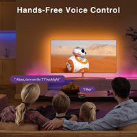 Matter Smart 24V 5M extérieur RGB + CW LED bande étanche IP65 télécommande Tuya App contrôle voix Cob LED bande pour décorations