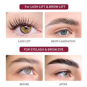 Venta Caliente, Marca Privada, <span class=keywords><strong>Lifting</strong></span> de Pestañas de 5 Minutos, Laminación de Cejas, Set 2 en 1 <span class=keywords><strong>para</strong></span> <span class=keywords><strong>Lifting</strong></span> de Pestañas y Cejas, Fábrica OEM - Product Image 2