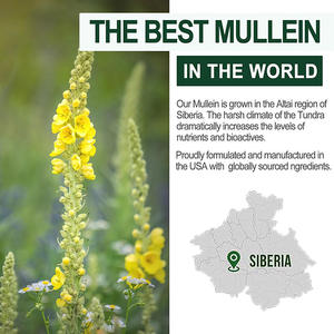 Vente en gros de bonbons santé quotidiens Suppléments respiratoires en feuilles de molène 1000 mg Gommes de molène 9 en un pour poumons - Product Image 4