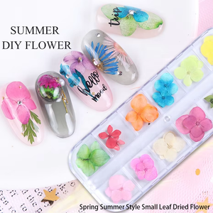 12 Rejilla <span class=keywords><strong>en</strong></span> caja Primavera Verano Estilo 3D Nail Sticker Decoraciones Hoja pequeña Flor seca Prensada <span class=keywords><strong>en</strong></span> Nail Art Charm - Product Image 2