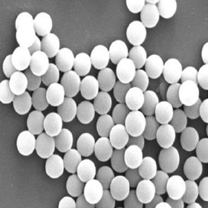 Partículas de Poliestireno Monodispersas |   Microesferas Estándar de Citometría de Flujo Multi-Especificación Personalizadas - Product Image 4