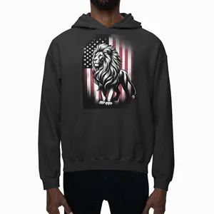 Factory Direct Customizable Stars & Stripes Hoodie - Premium Winter Wear with Patriotic American Flag Design