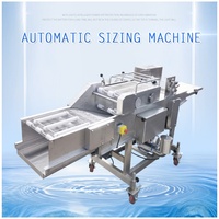 Équipement de revêtement automatique de qualité industrielle pour la fabrication de pain, de fruits et de fruits de mer avec un revêtement uniforme de surface