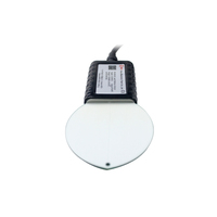 Capteur d'eau de surface compact pour feuilles avec protection IP65 et sortie RS485 pour l'agriculture intelligente IoT