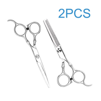 Ciseaux de coiffeur professionnels, ensemble d'outils de coupe de cheveux pour Salon de coiffure