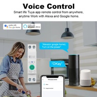 Interrupteur miniature intelligent WiFi Tuya à prix avantageux, avec compteur kWh, minuterie, relais, protection contre les surtensions et les surintensités, 1-63A 1P N