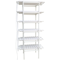 Système hydroponique vertical d'intérieur de haute qualité à 216 trous et 6 niveaux, kit de culture NFT