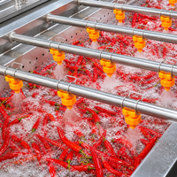 Tomaten, paprika, chili, aubergine wasmachine voor groentesausverwerkingslijn