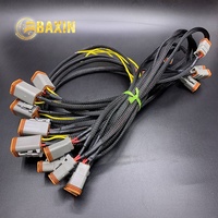 DT06-6S-arnés de cableado automotriz de DT06-2S, arnés de cableado de color colorido o OEM