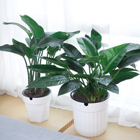 Meixuan Grand pot de fleurs auto-arrosant et respirant pour personnes paresseuses, blanc, sur pied, en résine PP, minimaliste