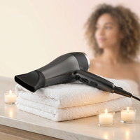 Sèche-cheveux électrique haute puissance à vente chaude avec diffuseur ionique, moteur CC, air chaud/froid pour salons de coiffure et usage familial