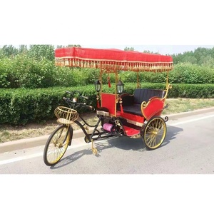 Vehículo Turístico Eléctrico de Tres Ruedas de Estilo Europeo Vintage, <span class=keywords><strong>Taxi</strong></span> Eléctrico Manual de 2, 4 y <span class=keywords><strong>6</strong></span> <span class=keywords><strong>Plazas</strong></span> - Product Image 6