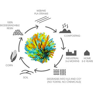 2025 Logo personalizzato 100% componibile usa e getta PLA cannucce nere eco-friendly con amido di mais per feste e campeggio - Product Image 4
