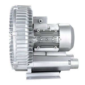 Soplador de anillo de alta presión monofásico Bomba de aire de vacío 220V 50Hz Soplador eléctrico para acuicultura Soplador de aire de alta HP - Product Image 6