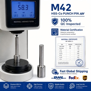 M42 hss-Co 1.3247หมุดเจาะขึ้นรูปเย็น2700HV เคลือบ ticn ที่เจาะรูความแข็งสูงสำหรับงานหนัก - Product Image 5