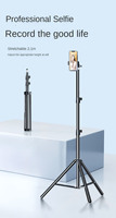 Trépied pliable léger Yinzam Professional Projector 2.1M pour appareil photo reflex numérique, téléphone, projecteur vidéo, support de sol