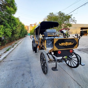 Vintage Royal Black Electric Carriage With Gold <b>Trim</b> And Blue Canopy For Tourism And Parks - Product Image 5