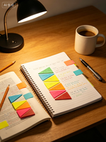 Étiquettes autocollantes pour lecteurs de disques, notes adhésives en PET, onglets d'indexation colorés, marque-pages pour agenda, bloc-notes promotionnel