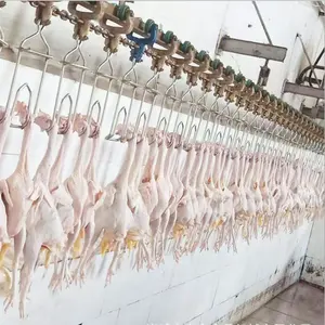 Poultry Slaughter Poultry Slaughter Processing Line For Sale