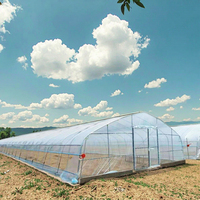 Serre agricole économique, petite, personnalisable, monocouche, carrée, avec couverture en film plastique PE, stable, pour hydroponie, très demandée