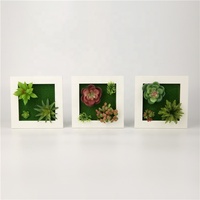 Ornements de plantes vertes suspendues artificielles 3D avec cadre photo, plastique écologique, 15x15cm, plusieurs couleurs, décoration murale pour la maison