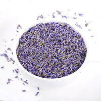 Pasokan Pabrik Kuncup Lavender Kering Bersih Tanpa Bahan Tambahan untuk Potpourri dan Teh Herbal Pendukung Tidur