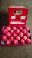 Verse Fuji Appels, Red Delicious en Royal Gala Appels van verse fruitboerderijen