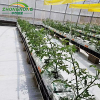 Chaque système hydroponique facilite la culture de fruits, légumes et épices verts. Kits et systèmes de culture pour serres hydroponiques.