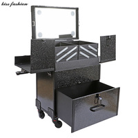 Valise de maquillage professionnelle à roulettes en aluminium et similicuir, 4 roues, avec éclairage LED, plateaux extensibles, tiroirs et couvercle miroir