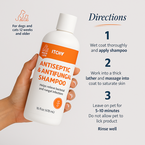 Shampoo <span class=keywords><strong>antifongique</strong></span> pour chiens et chats de marque privée pour soins cliniques |   Formule antiseptique pour les peaux qui démangent, qui squame et qui sont irritées OEM/ODM - Product Image 4