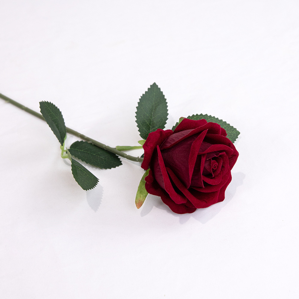 Velvet Rose [Burgundy]