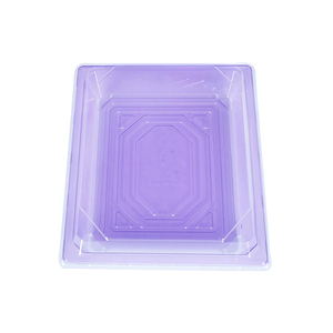 Disposable Plastic Transparent Material (PET) Sushi Tray