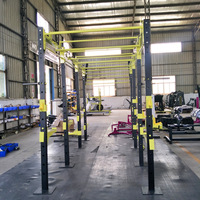 Échelle d'escalade murale professionnelle pour musculation et entraînement, équipement de fitness pour salle de sport