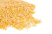 Grains de maïs pour pop-corn Golden Mushroom en vrac pour les cinémas et la production de snacks