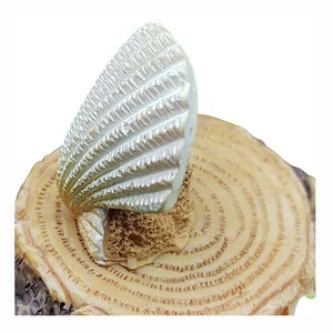 Ornements colorés en forme d'étoiles de mer et de coquillages, mini artisanat, miniatures pour micro-paysages, décorations pour jardins féeriques, accessoires pour aquariums - Product Image 1