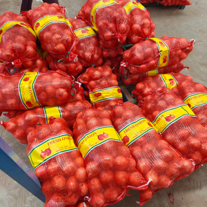 Cebolla Roja <span class=keywords><strong>de</strong></span> Calidad Garantizada, Cosecha Fresca, Bawang Merah, Bawang <span class=keywords><strong>Bombay</strong></span>, Exportación <span class=keywords><strong>de</strong></span> China, Proveedor <span class=keywords><strong>de</strong></span> Cebollas con Tiempo <span class=keywords><strong>de</strong></span> Entrega Rápido - Product Image 6