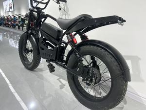Bicicleta Eléctrica de Montaña JS-HaLei 1, de Alta Velocidad, 350W, 48V, 12Ah, con Motor de Tambor y Neumático de 20 Pulgadas, Precio de China, Gran Venta Estructura de Acero de Alta Calidad - Product Image 2