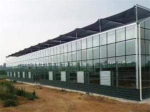 제조업체 가격 우수한 등급 플로트 강화 유리 강화 유리 평방 미터당 강화 유리 시트 - Product Image 4