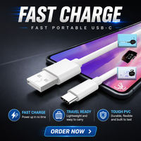 Câble de charge rapide USB-C vers USB-C portable de 1 m avec conducteur en cuivre pur et blindage tressé – Vente en gros