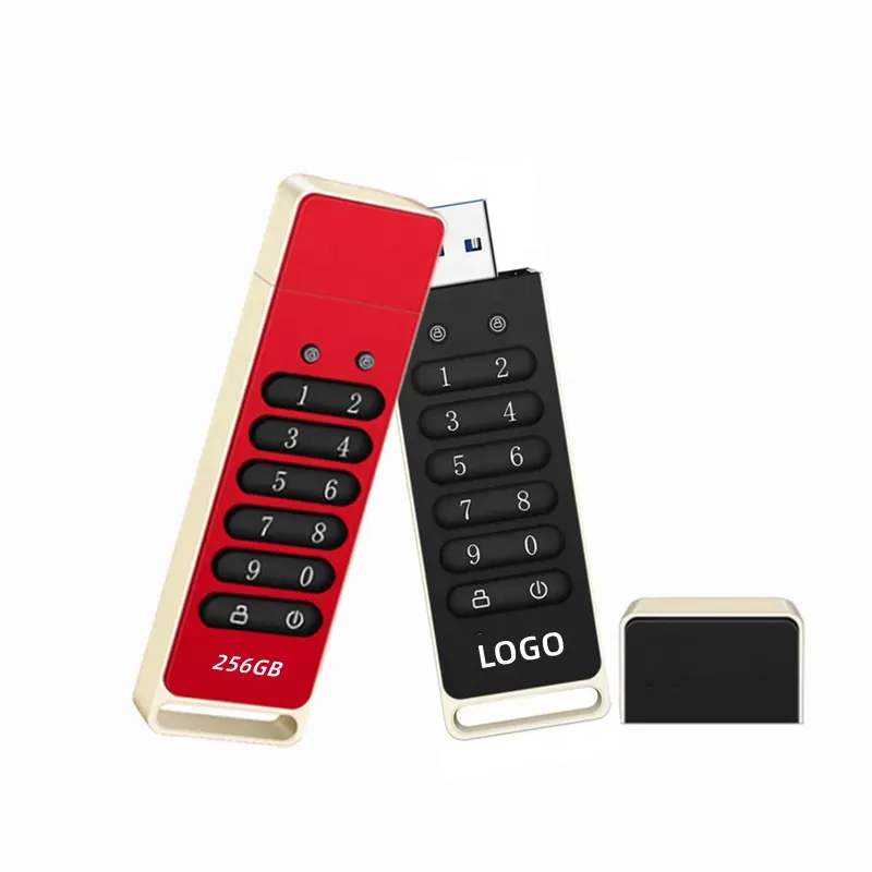 2023 New Trend ing Custom Logo Sichere digitale Passworts perre USB-Stick USB 3.0 1TB 8GB 16GB 32GB 64GB 128GB Pen drive USB-Flash-Laufwerke