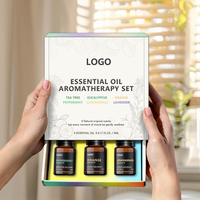 Kit d'huiles essentielles d'aromathérapie Ingrédients naturels Ensembles d'huiles essentielles biologiques Aromathérapie Fabrication de bougies Soins du corps