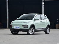 Dayun RHD SUV électrique avec certificat CEE COC M1 Europe conduite à droite CCS2 voiture électrique pour adulte