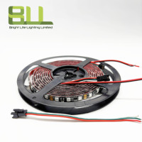Bande LED noire WS2811 avec télécommande RGB 12V, pixels adressables, 60 LED, bande LED intelligente