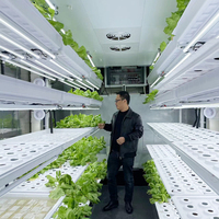 Conception cubique de 40 pieds de haut avec irrigation à pompe et fertigation automatique Idéal pour la culture commerciale de légumes en intérieur