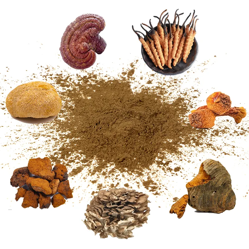 AMULYN Mushroom Mix Powder Maitake Cordyceps Reishi Chaga Lions Mane Extract Powder Private Label 7 in 1 Mushroom Blend Powder