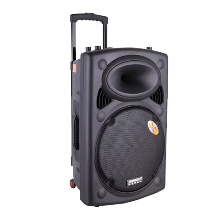 High Power Sound Tws Dsp Usb Fm Radio Wireless Bluetooth Party Dj Trolley Speaker 15 Inch